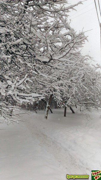 Зима 2018 года в Олимпийской деревне